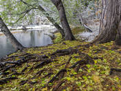 Yosemite National Park