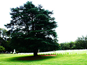 Andersonville National Historic Site