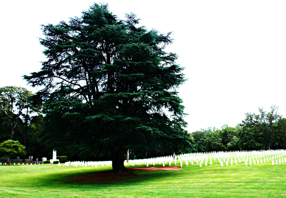 Andersonville National Historic Site