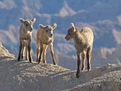 Badlands National Park