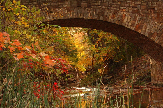 Chickasaw National recreation area