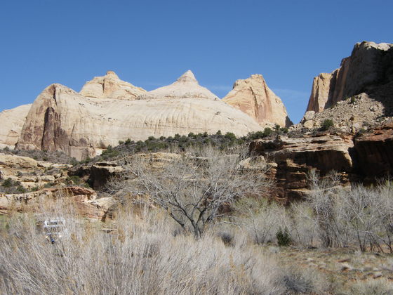Capitol Reef National Park