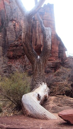 Zion National Park