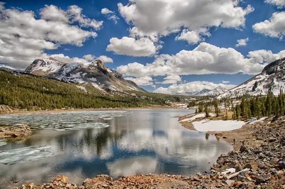 Inyo National Forest