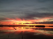 sacramento national wildlife refuge