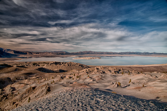 Inyo National Forest