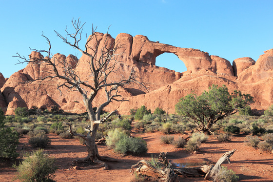Arches National Park
