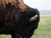 Badlands National Park
