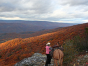 Spruce Knob-Seneca Rocks National Recreation Area