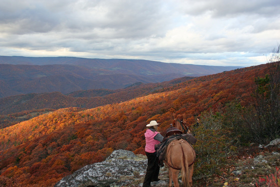 Spruce Knob-Seneca Rocks National Recreation Area
