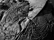 HAWAII VOLCANOES NATIONAL PARK