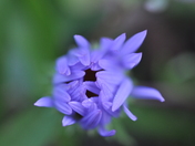 Glacier National Park