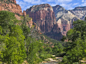 Zion NP