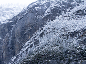 Yosemite NP