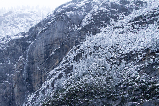 Yosemite NP