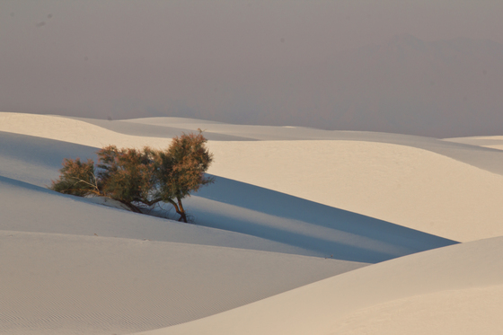 White Sands National Monument