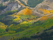 uncompahgre national forest