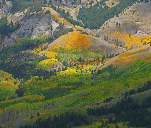 uncompahgre national forest