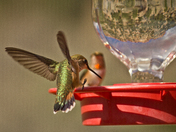 Grand Staircase-Escalante National Monument