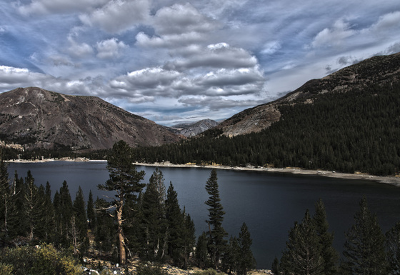 Yosemite National Park