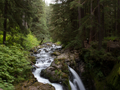 Olympic National Park