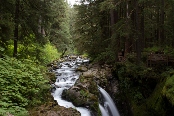 Olympic National Park