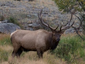 Rocky Mountain National Park