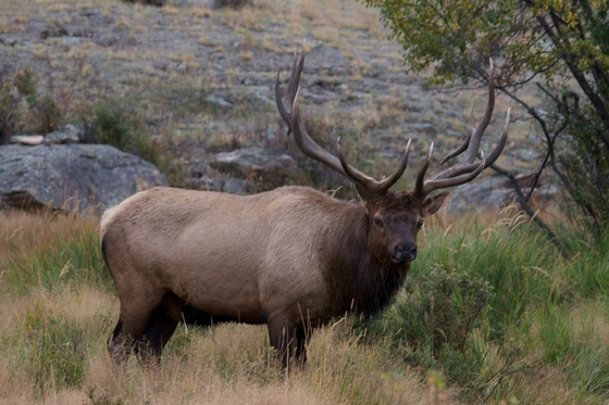 Rocky Mountain National Park