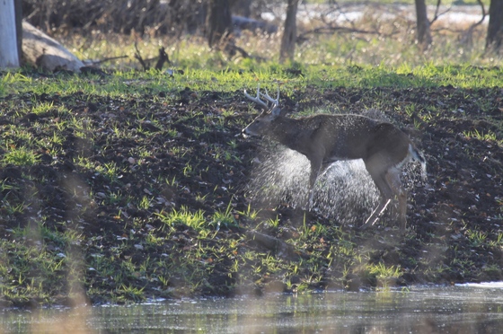 Squaw Creek National Wildlife Refuge