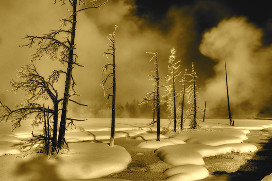Yellowstone
