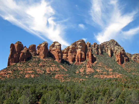 Coconino National Forest