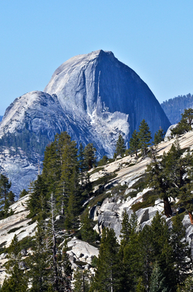 USDA Forest Service