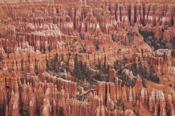 Bryce Canyon National Park