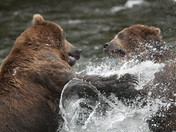 Katmai National Park & Preserve