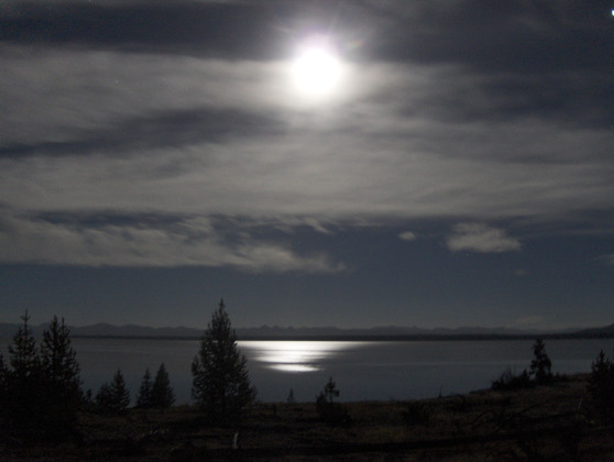 Yellowstone National Park
