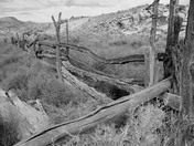 Arches National Park