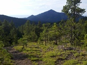 Black Hills National Forest
