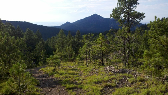 Black Hills National Forest