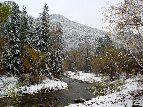 Black Hills National Forest