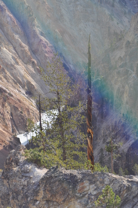 Yellowstone