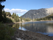 toiyabe national forest