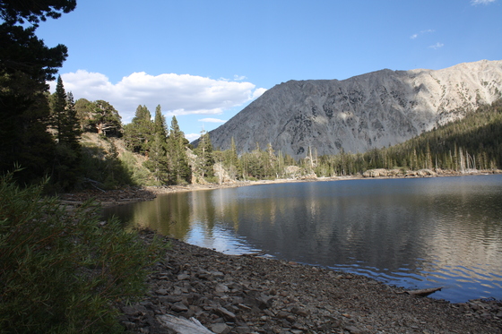 toiyabe national forest