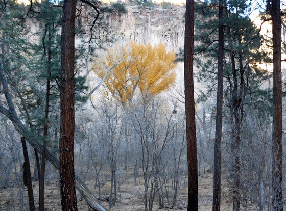 Bandelier National Monument