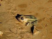 badland national park