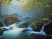 Great Smoky Mountains NP