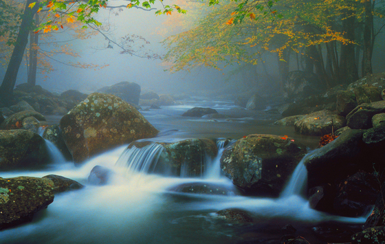 Great Smoky Mountains NP