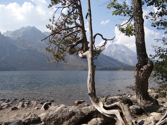 The Grand Tetons