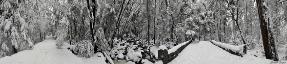 Yosemite