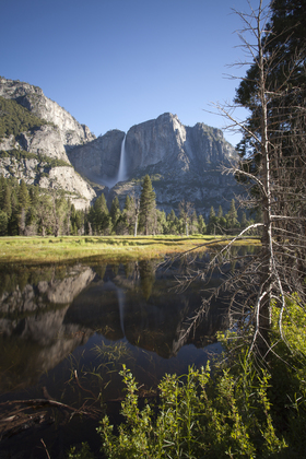 Yosemite National Park