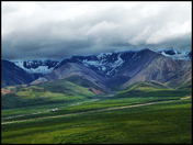 Denali National Park